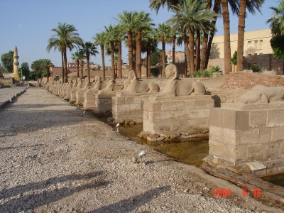 Avenue of Sphinxes at the Luxor Temple.